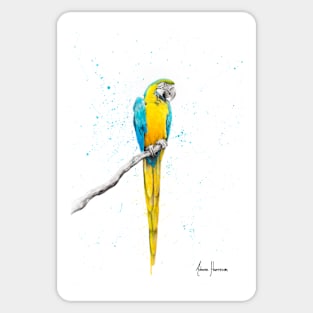 Mischievous Macaw Sticker